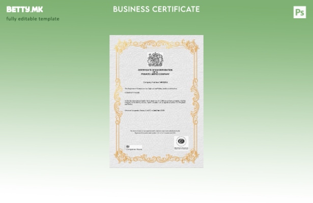 модерен стил Велика Британија сертификат за основање на приватна компанија со  1